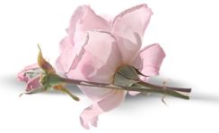 0_cddea_bbcda198_XL (244x149, 47Kb)