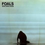 Foals - What Went Down 2015г