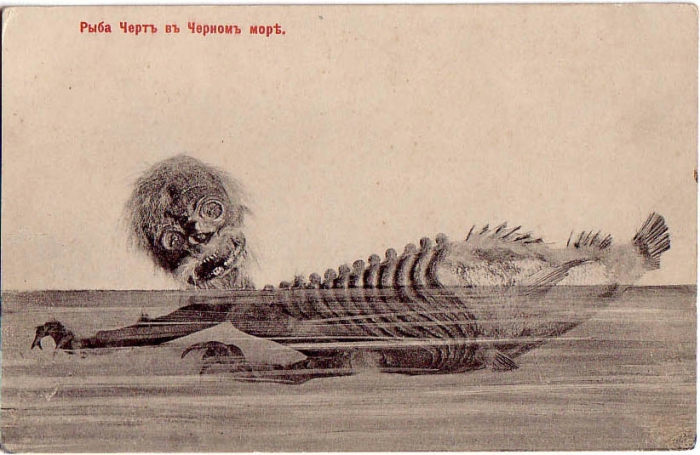 Дореволюционная российская открытка с изображением фиджийской русалки.
